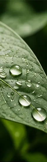 Environnemental