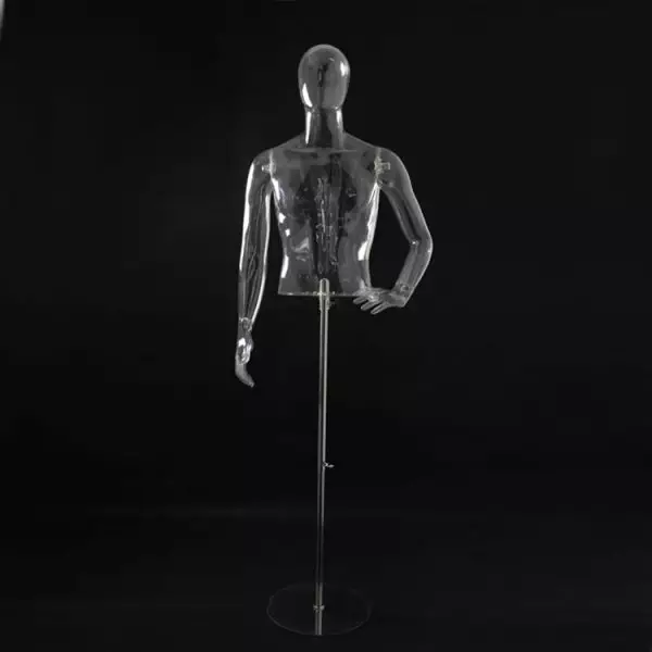 Mannequins homme demi-corps